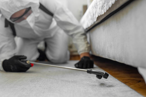 Professional Ant Control technician working in The Pinehills, MA