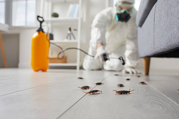 Trusted Fumigation Services service in The Pinehills, MA - Nex Pest Control