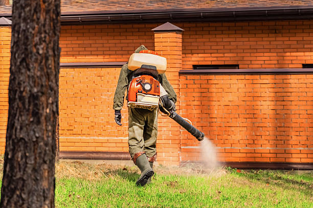 Trusted Cockroach Control service in The Pinehills, MA - Nex Pest Control